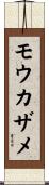 モウカザメ Scroll