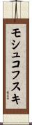 モシュコフスキ Scroll