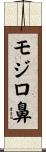 モジロ鼻 Scroll
