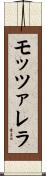 モッツァレラ Scroll