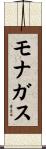 モナガス Scroll