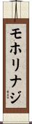 モホリナジ Scroll