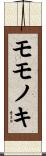モモノキ Scroll