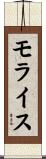 モライス Scroll