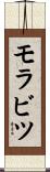 モラビツ Scroll
