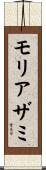 モリアザミ Scroll
