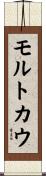 モルトカウ Scroll