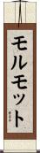 モルモット Scroll