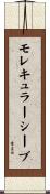 モレキュラーシーブ Scroll