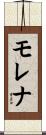 モレナ Scroll