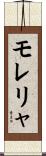 モレリャ Scroll