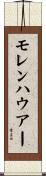 モレンハウアー Scroll