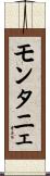 モンタニェ Scroll