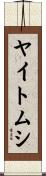ヤイトムシ Scroll