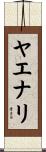ヤエナリ Scroll