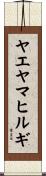 ヤエヤマヒルギ Scroll