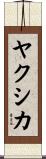 ヤクシカ Scroll