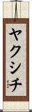 ヤクシチ Scroll