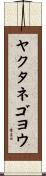 ヤクタネゴヨウ Scroll