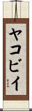 ヤコビイ Scroll