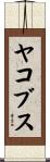 ヤコブス Scroll