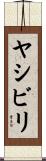 ヤシビリ Scroll