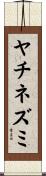 ヤチネズミ Scroll
