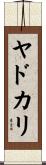 ヤドカリ Scroll