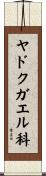 ヤドクガエル科 Scroll