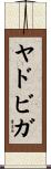 ヤドビガ Scroll