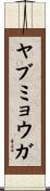 ヤブミョウガ Scroll