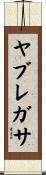 ヤブレガサ Scroll