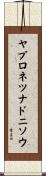 ヤブロネツナドニソウ Scroll