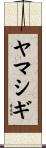 ヤマシギ Scroll