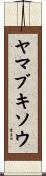 ヤマブキソウ Scroll