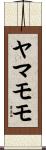 ヤマモモ Scroll