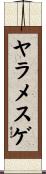 ヤラメスゲ Scroll