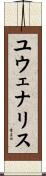 ユウェナリス Scroll