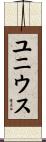 ユニウス Scroll