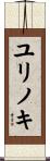 ユリノキ Scroll