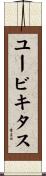 ユービキタス Scroll