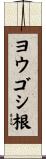 ヨウゴシ根 Scroll
