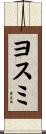 ヨスミ Scroll