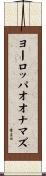 ヨーロッパオオナマズ Scroll