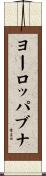 ヨーロッパブナ Scroll