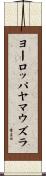 ヨーロッパヤマウズラ Scroll