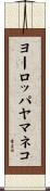 ヨーロッパヤマネコ Scroll