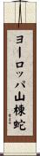 ヨーロッパ山棟蛇 Scroll