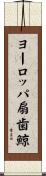ヨーロッパ扇歯鯨 Scroll