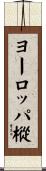 ヨーロッパ樅 Scroll